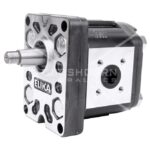 Pompă MARZOCCHI cu Roți Dințate 11,4 cm³ : ELI-2S11.4-T0-DN