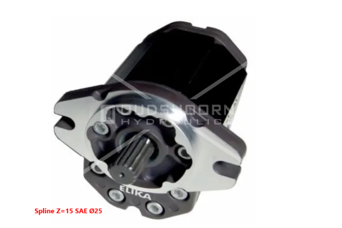 eli3ads2-001_15 Pompă MARZOCCHI cu Roți Dințate 39,1 cm³ : ELI-3AS39.1-S2-A-N - imagine 1